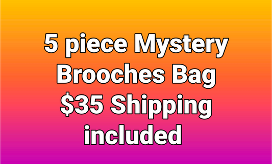 5 piece Brooches Bag