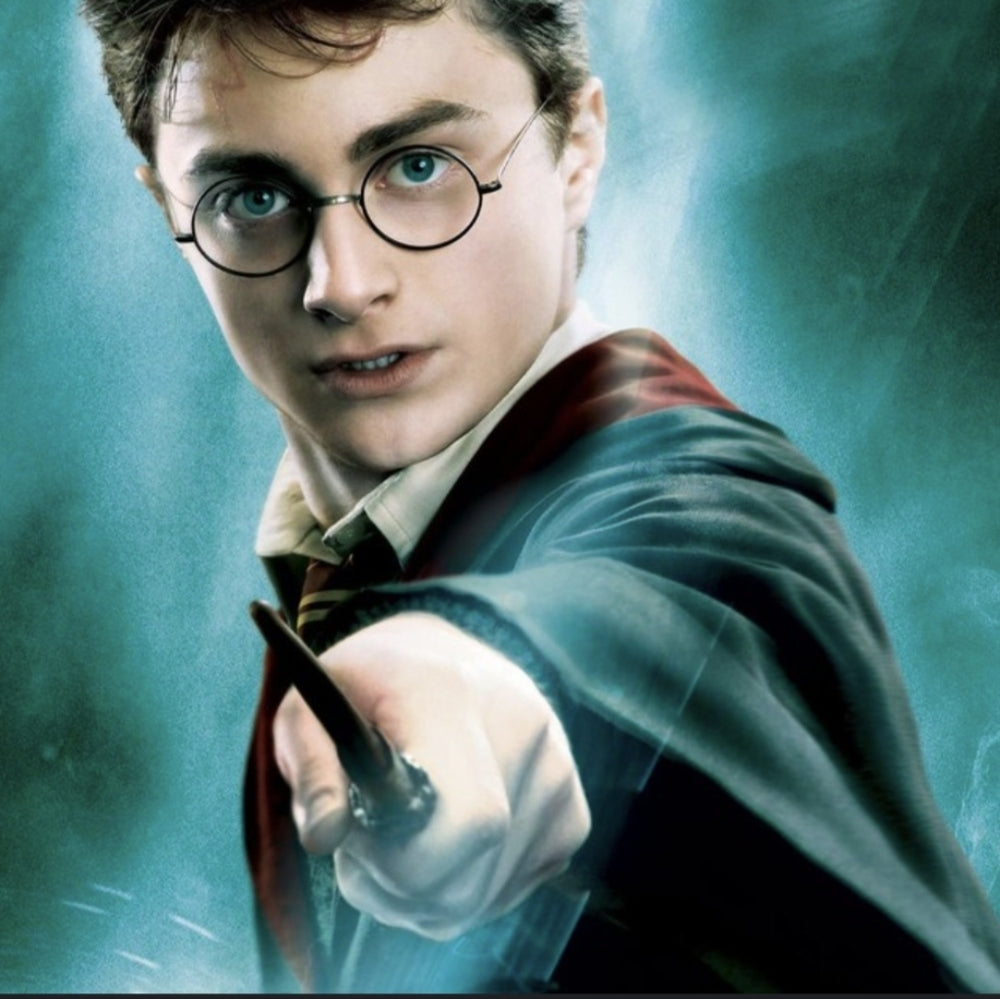 Harry Potter Replica Magic Wand in Original Packaging - Sac's Main